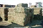 Picture: Approx. 100 2010 Second Cut Hay Bales  No Rain, 70% Alfalfa, 30% Grass 55-60lb per Bale
