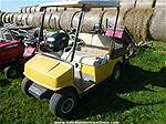 Picture: Gas Powered Golf Cart