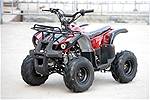 Picture: (New)110cc ATV