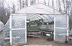 Picture: FREE STANDING GREENHOUSES