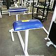 Picture: Apex Back Extension Bench